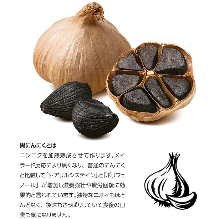 多機能発酵器 黒ニンニク対応 9〜12L ANZHIK 発酵マシン ヨーグルト等 黒にんにく発酵器 黒ニンニク発酵機 黒にんにくメーカーミニ 黒