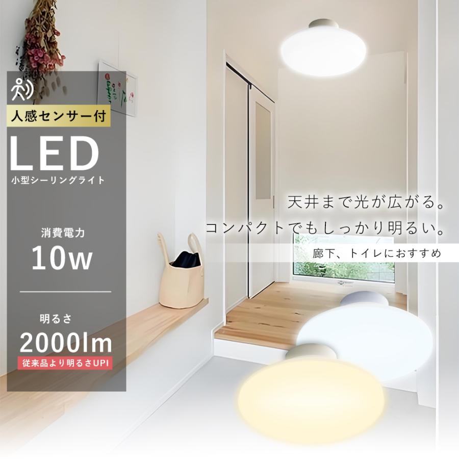 シーリングライト LED 人感センサー ライト 屋内 室内 コンパクト 小型