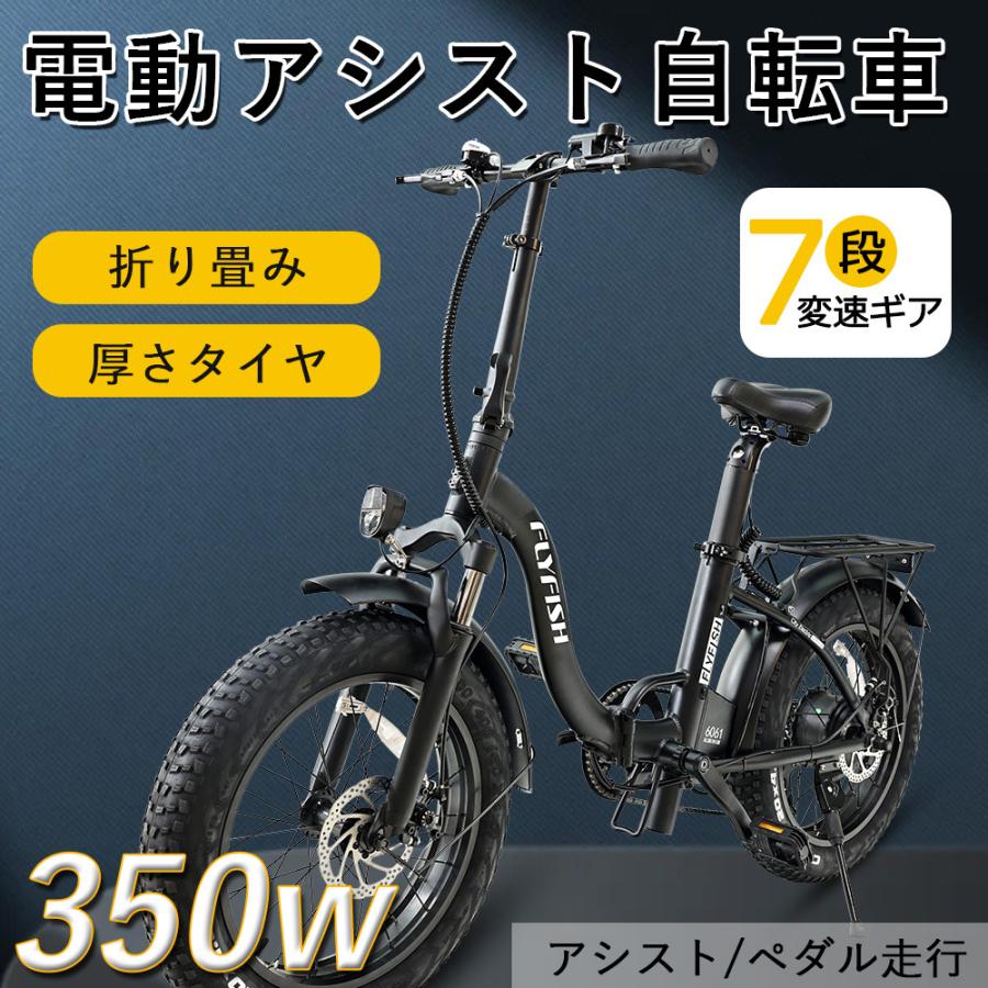 20 キロ 自転車