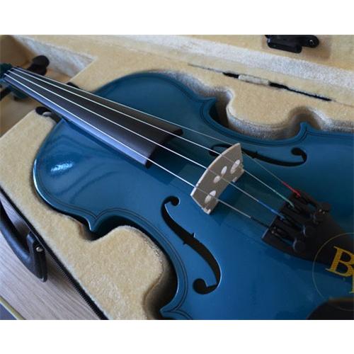 子供用 ヴァイオリン 初心者 入門モデル 誕生日プレゼント 9color 木製