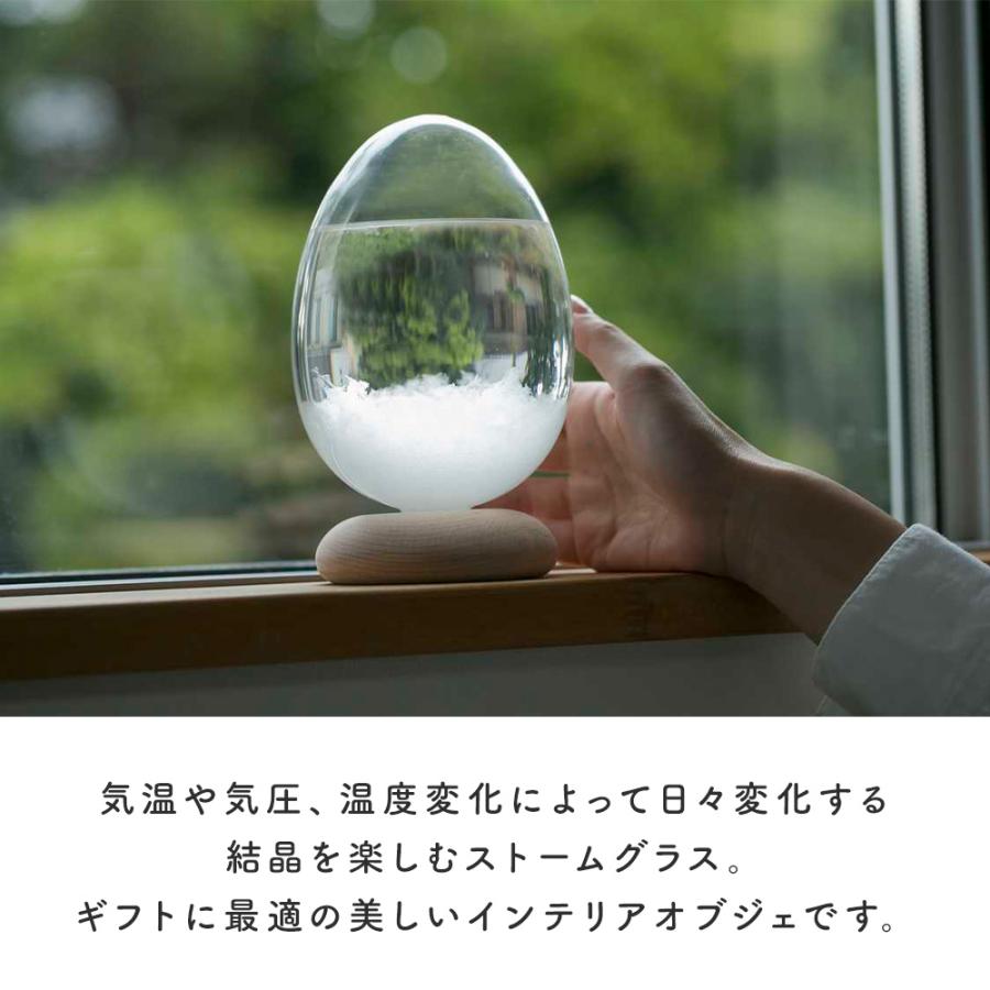 気候計 100percent（ヒャクパーセント） ストームグラス Tempo Pulse テンポ