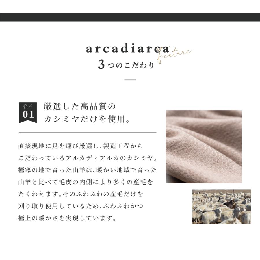 arcadiarca（アルカディアルカ） 靴下 カシミヤ メンズ カシミヤ100