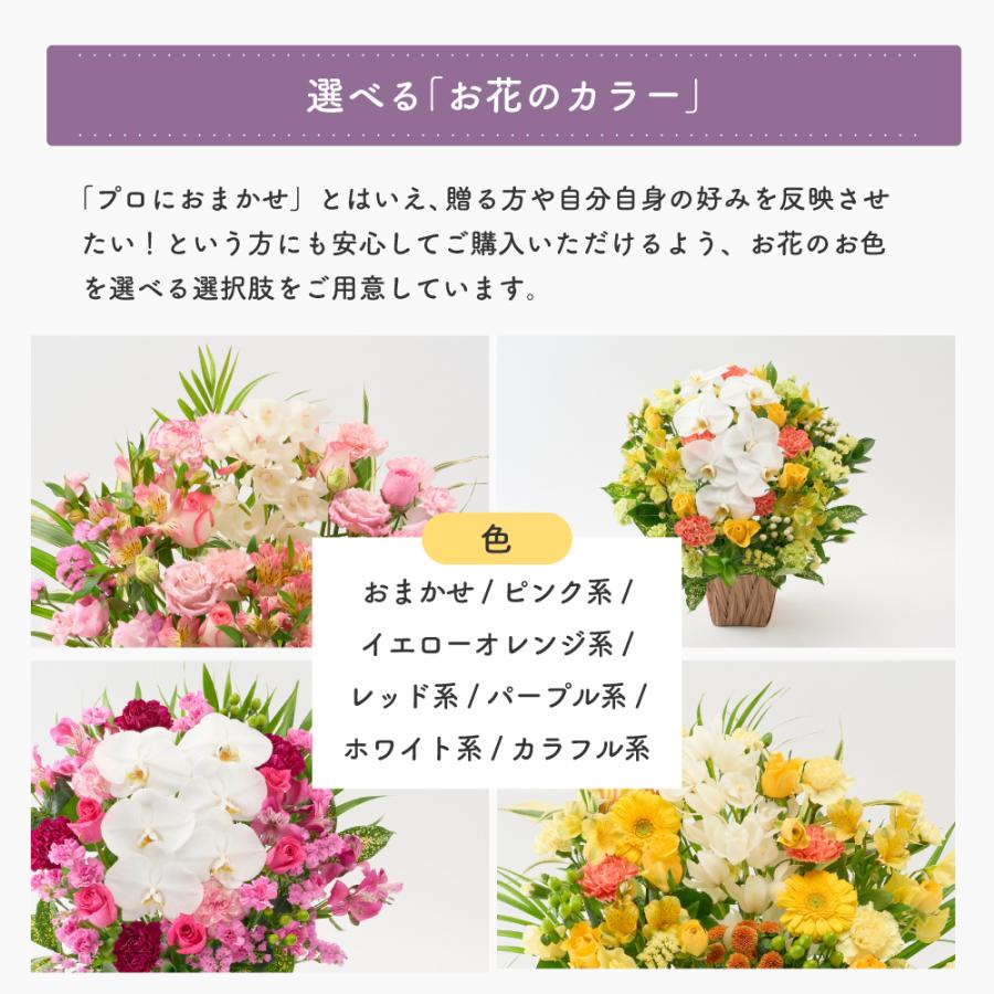 フラワーアレンジメント 生花 胡蝶蘭 シンビジウム プレゼント プロ技光る 季節感あふれるフラワーギフトL 誕生日 花 ギフト 女性 お祝い おまかせ_10