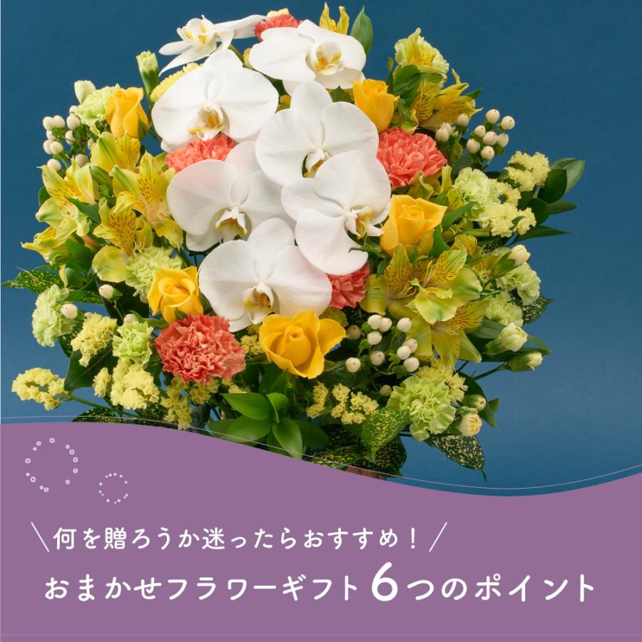 フラワーアレンジメント 生花 胡蝶蘭 シンビジウム プレゼント プロ技光る 季節感あふれるフラワーギフトL 誕生日 花 ギフト 女性 お祝い おまかせ_11