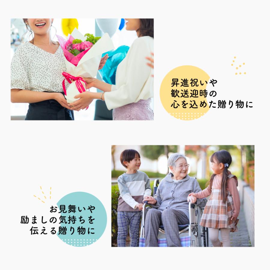 フラワーアレンジメント 生花 胡蝶蘭 シンビジウム プレゼント プロ技光る 季節感あふれるフラワーギフトL 誕生日 花 ギフト 女性 お祝い おまかせ_1
