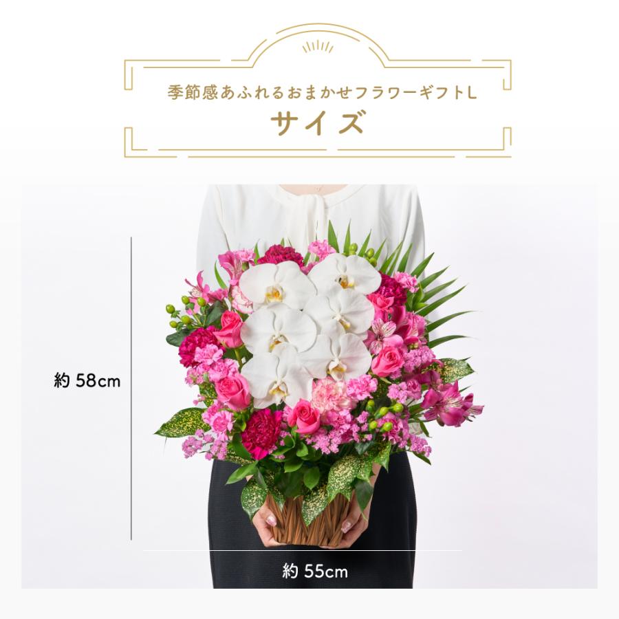 フラワーアレンジメント 生花 胡蝶蘭 シンビジウム プレゼント プロ技光る 季節感あふれるフラワーギフトL 誕生日 花 ギフト 女性 お祝い おまかせ_2