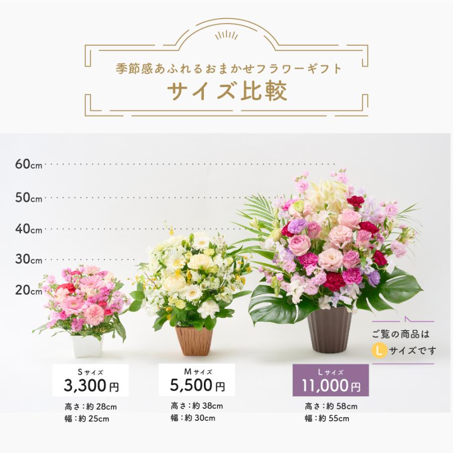 フラワーアレンジメント 生花 胡蝶蘭 シンビジウム プレゼント プロ技光る 季節感あふれるフラワーギフトL 誕生日 花 ギフト 女性 お祝い おまかせ_3