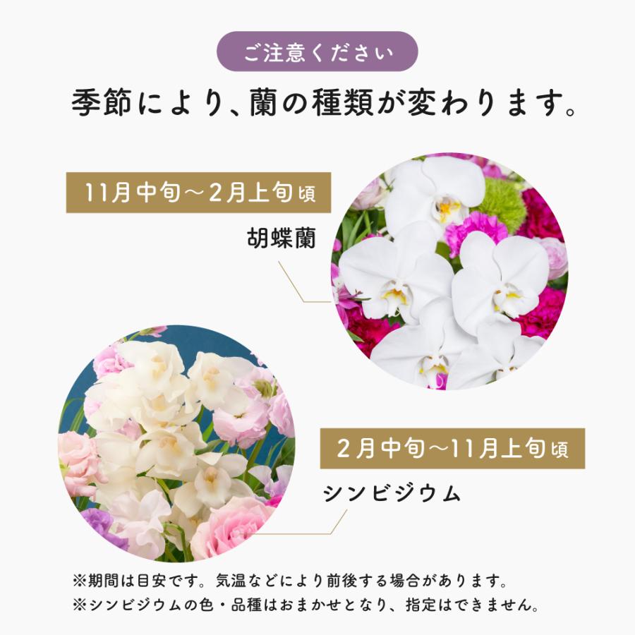 フラワーアレンジメント 生花 胡蝶蘭 シンビジウム プレゼント プロ技光る 季節感あふれるフラワーギフトL 誕生日 花 ギフト 女性 お祝い おまかせ_5