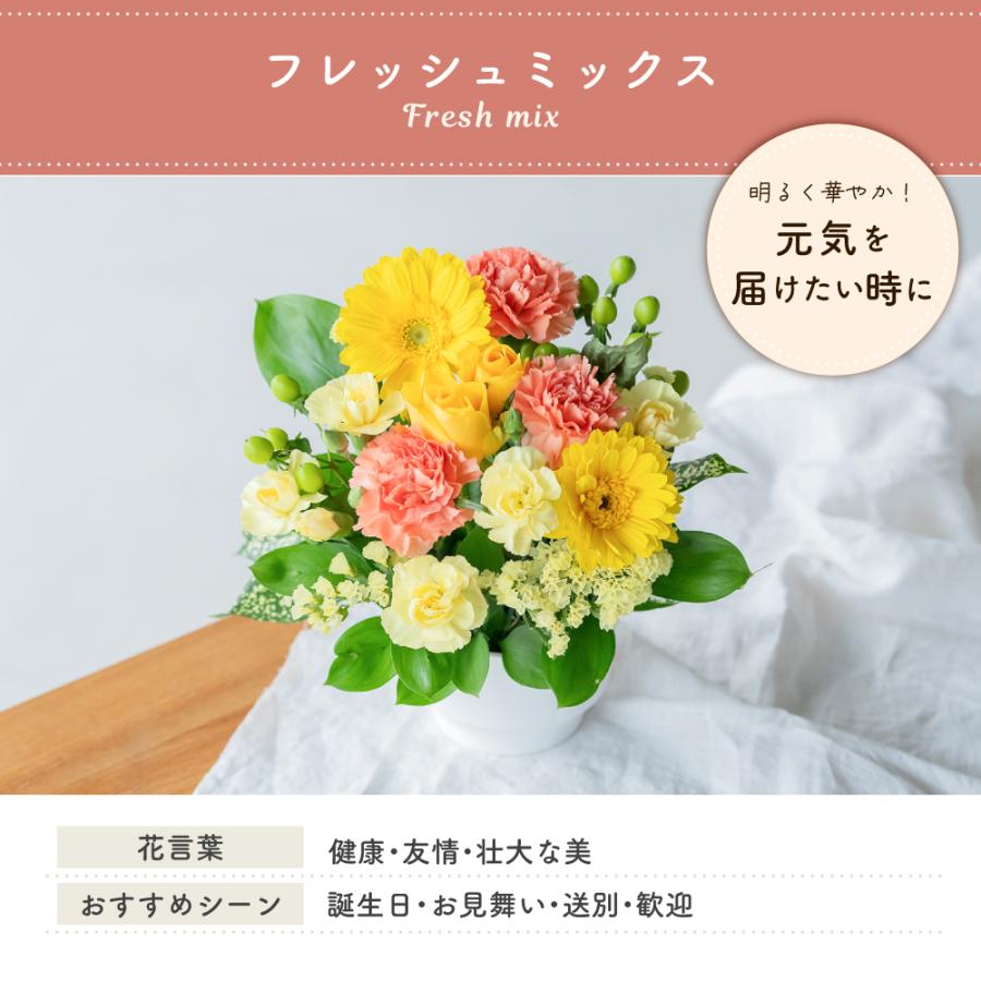 フラワーアレンジ 生花 花束 アレンジメント S バラ カラフルガーデン