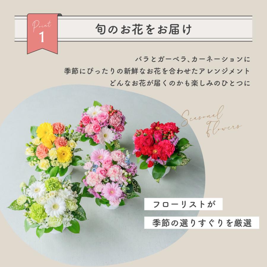 フラワーアレンジ 生花 花束 アレンジメント S バラ カラフルガーデン