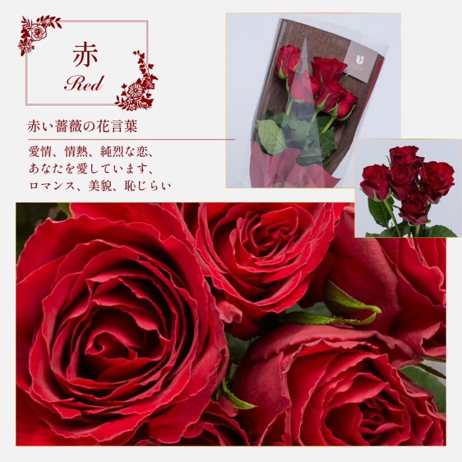 バラ5本と花瓶のセット 生花 花瓶 花束 女性 母親 妻 祖母 内祝い 女友達 お祝い 結婚記念日 誕生日プレゼント プロポーズ 記念日 フラワーギフト 即日発送 ギフト専門店 THE WOW - 通販 - Yahoo ショッピング