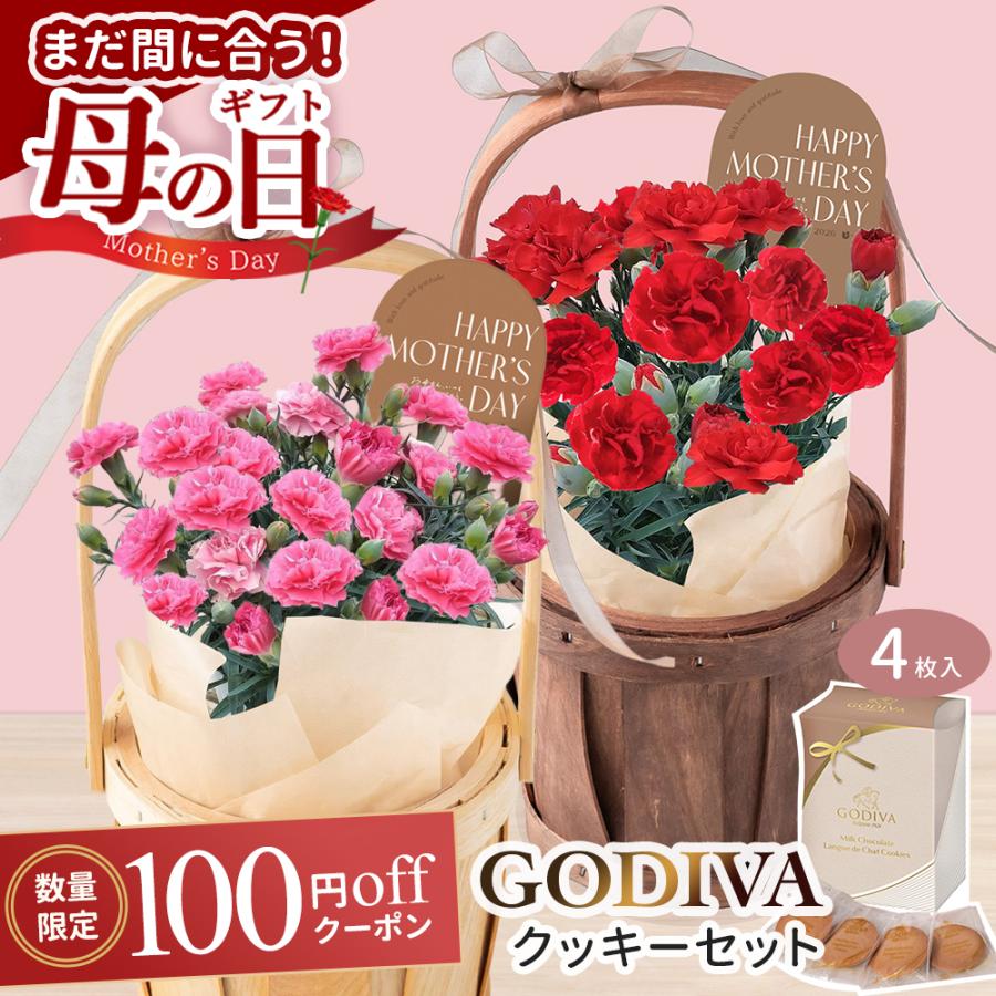 母の日 ギフト 2026 母の日カーネーション鉢4号 生花 GODIVAセット 4号鉢 お菓子 クッキー お母さん 義母 母親 40代 50代 60代 70代 プレゼント（Yahoo!・ギフト専門店 THE WOW）