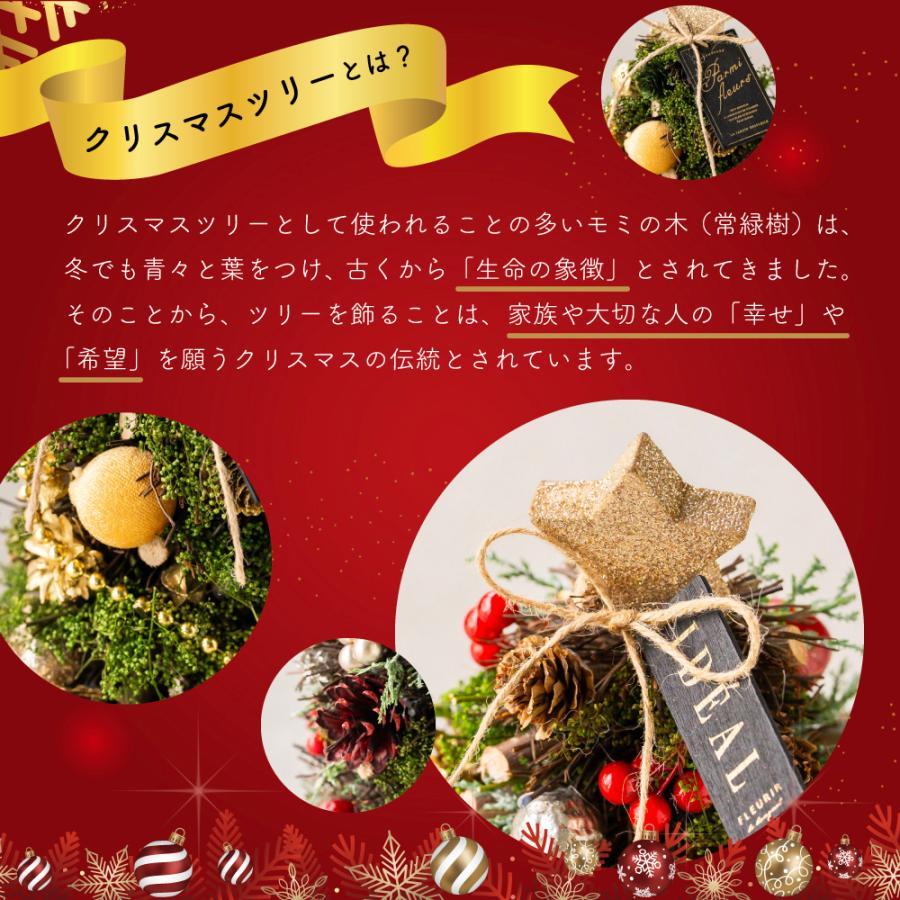 ツリー ミニツリー モミの木 北欧風 卓上ツリー 壁掛け オーナメント