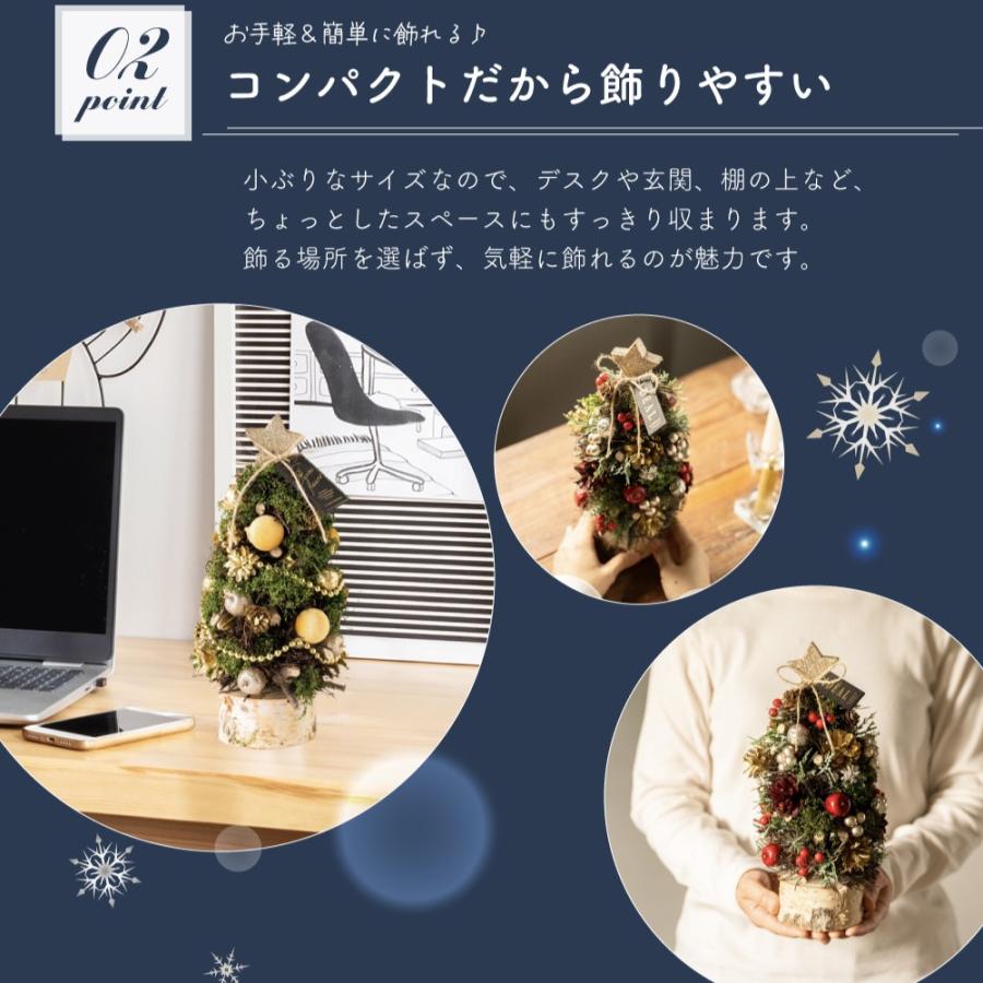 ツリー ミニツリー モミの木 北欧風 卓上ツリー 壁掛け オーナメント