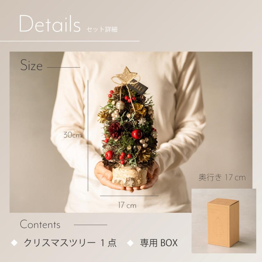 ツリー ミニツリー モミの木 北欧風 卓上ツリー 壁掛け