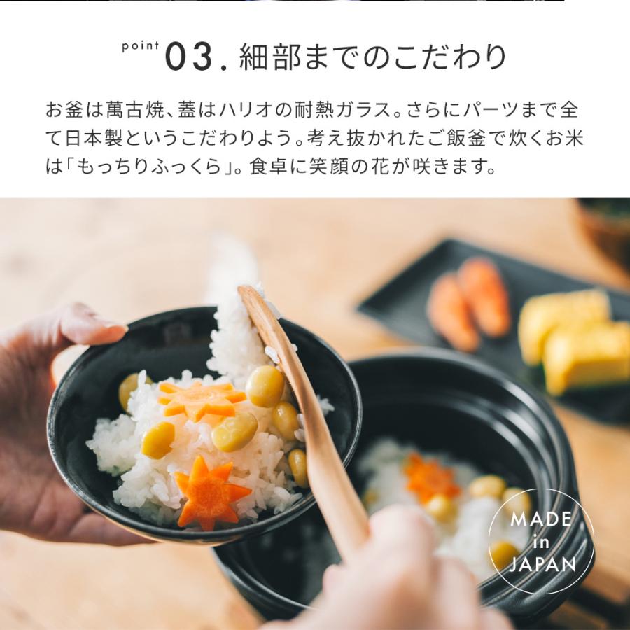 HARIO（ハリオ） 土鍋 ご飯釜 ご飯鍋 フタがガラスのご飯釜 2合 3合