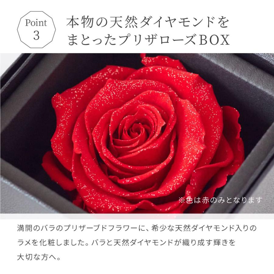 ネックレス ラウンド あずき 0.3ct アモローサ ダイヤモンドローズ  