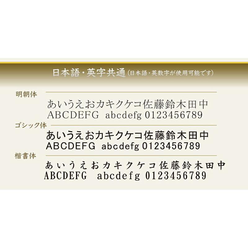 カヴェコスペシャル カヴェコ シャープペン 高級 シャーペン ペンシルスペシャル ブラック 0.5mm 0.7mm 0.9mm 名入れ ペンケース付き KAWECO 入学祝い｜shoppress｜17