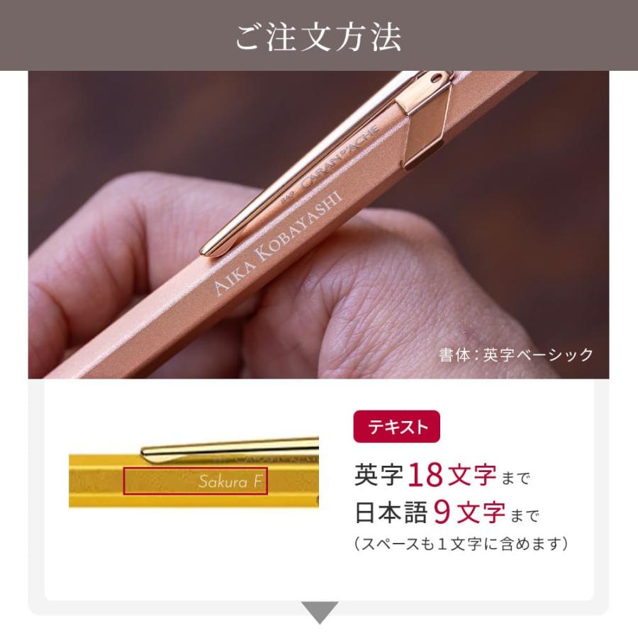 CARAN d'ACHE（カランダッシュ） シャーペン 849 ペンケース付き 名