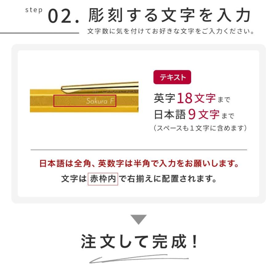 [新品] CARAN d'ACHE x SEIKO ノベルティペン (箱付) CARAN d'ACHE（カランダッシュ） シャーペン 849 ペンケース付き 名