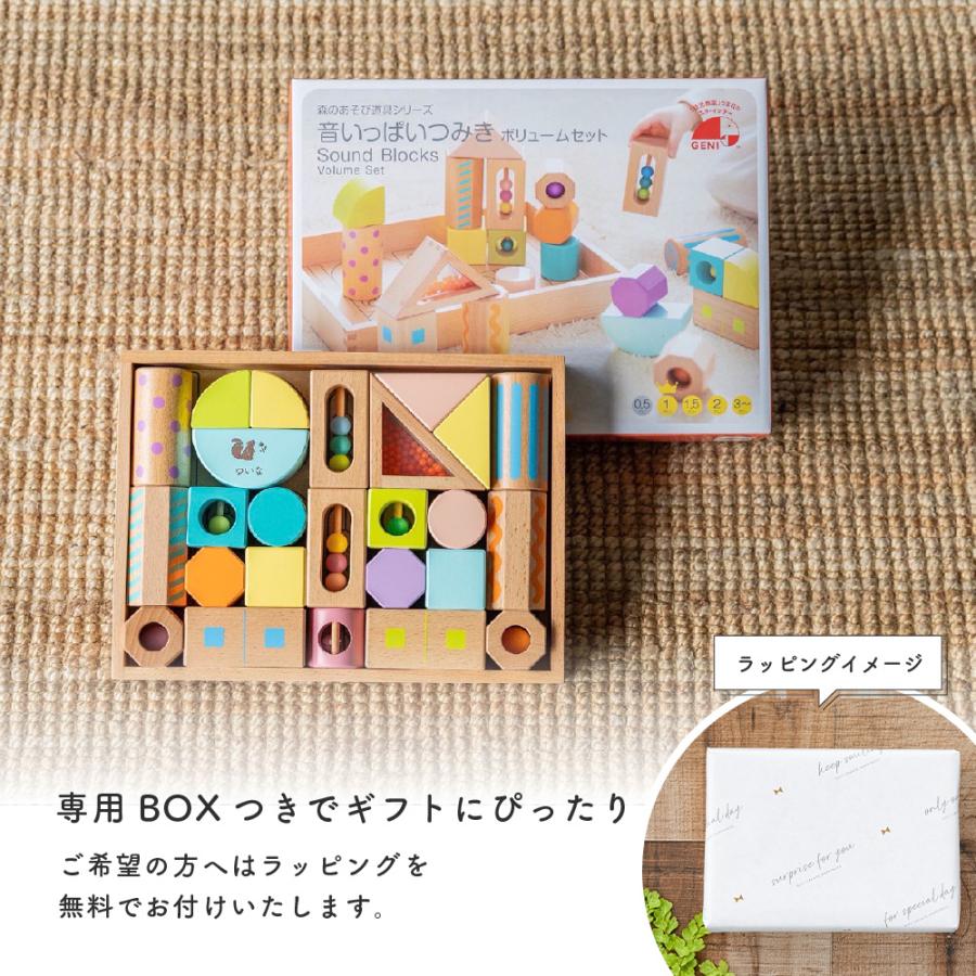 エド・インター（Ed・Inter） 名入れ 音いっぱい つみき ボリューム