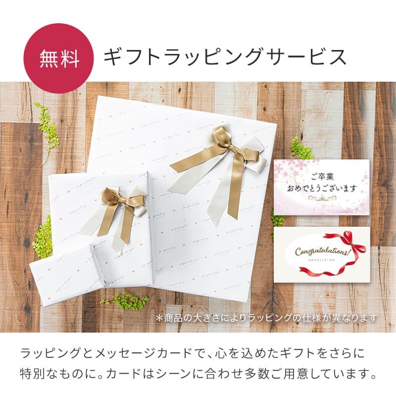 ZEBRA（ゼブラ） ボールペン 名刺入れ ギフトセット 名入れ レザー