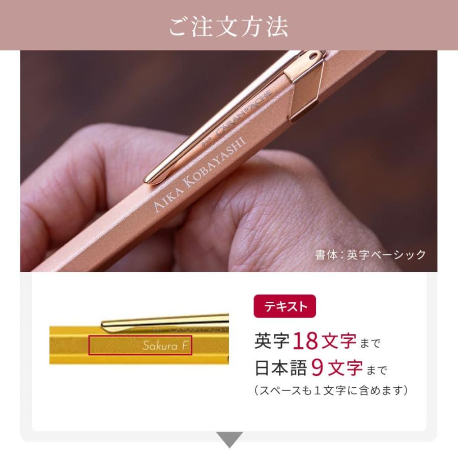 CARAN d'ACHE 名入れ ボールペン カランダッシュ 849 ペンケース CARAN d'ACHE 名入れ ボールペン カランダッシュ 849 ペンケース