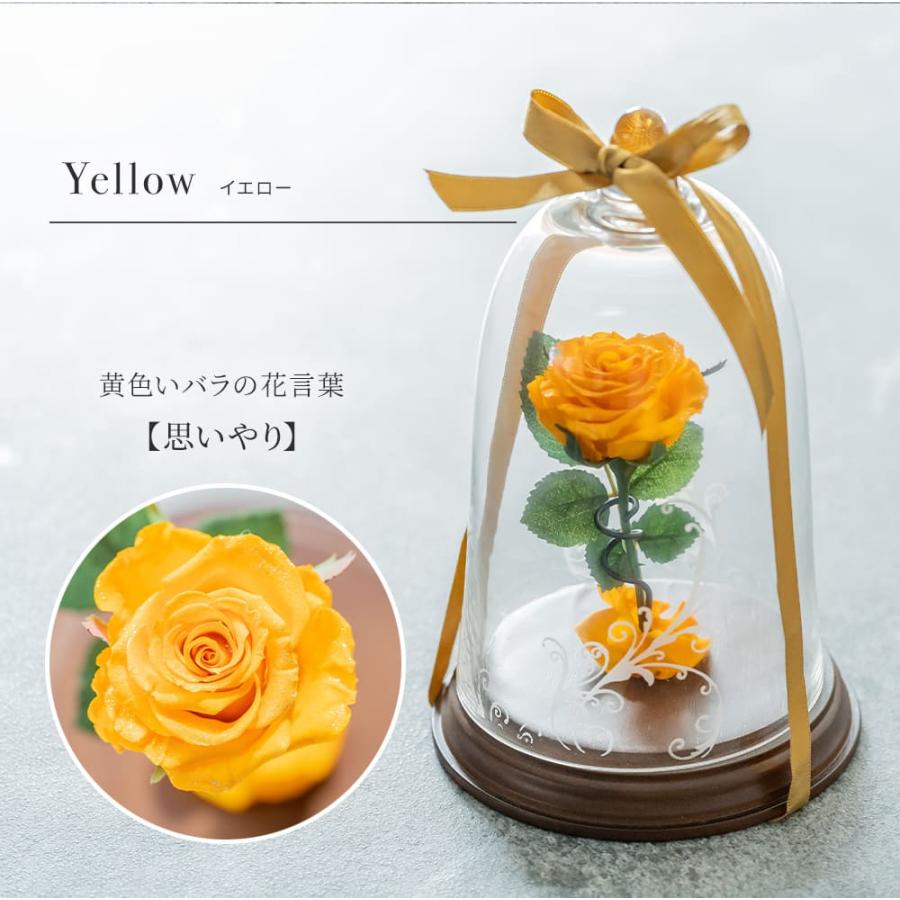 プリザードフラワー 名入れ 花 ギフト 美女と野獣 1本バラ フラワー