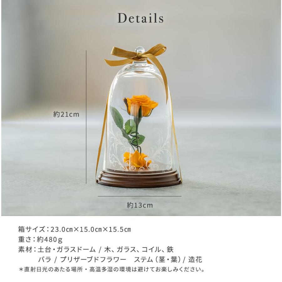 プリザードフラワー 名入れ 花 ギフト 美女と野獣 1本バラ フラワー