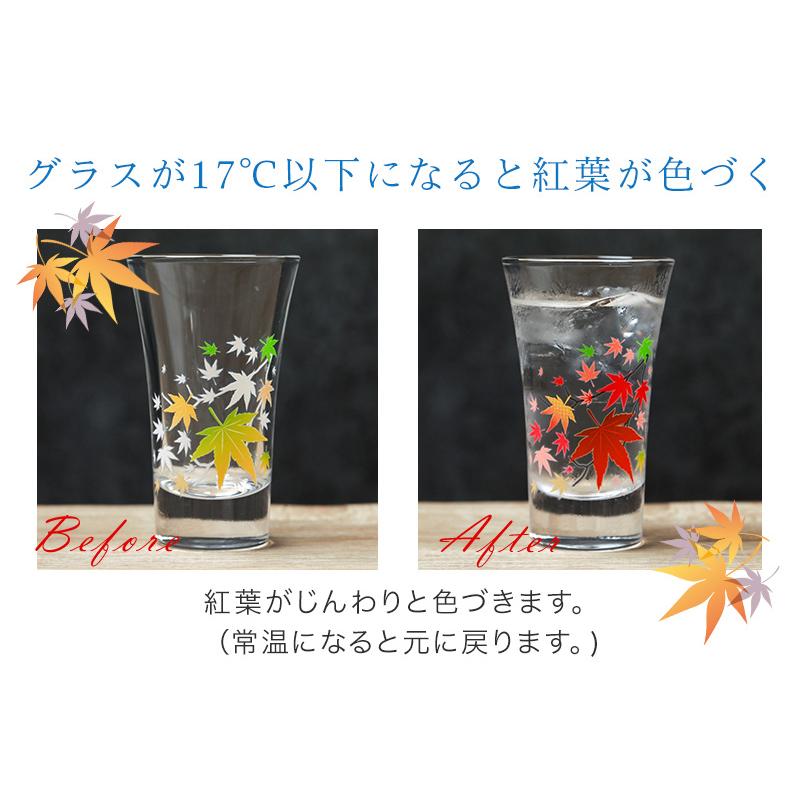 丸モ高木陶器 ペアグラス 冷感紅葉 グラス天開ペア 酒器 グラス 日本酒