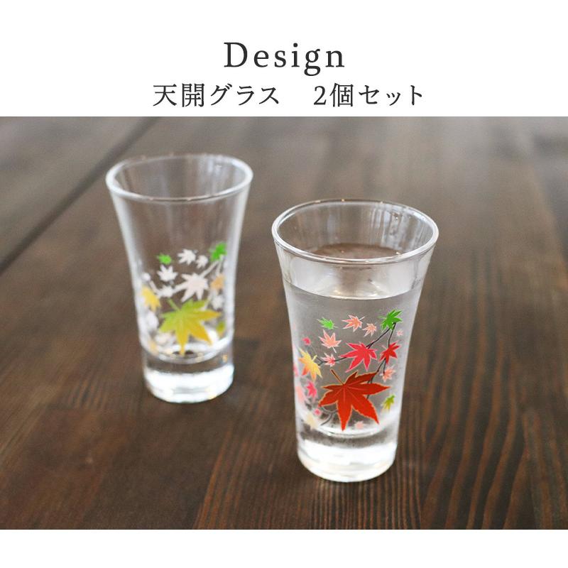 丸モ高木陶器 ペアグラス 冷感紅葉 グラス天開ペア 酒器 グラス 日本酒