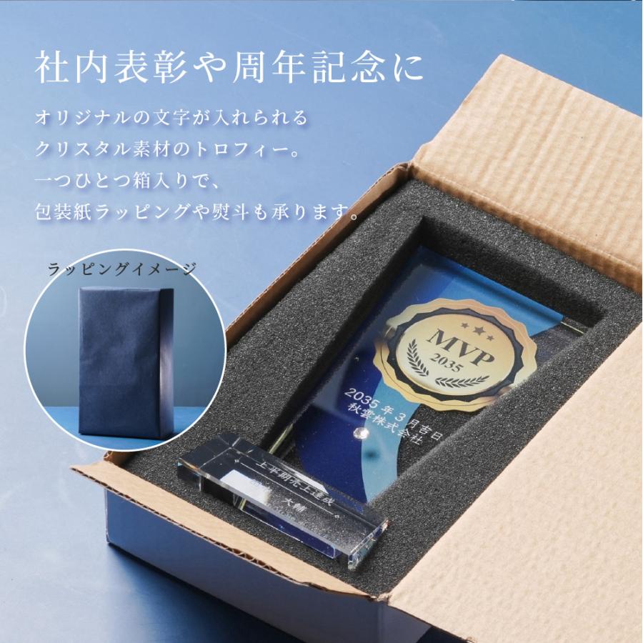 トロフィー大 Lサイズ 盾形 社内表彰 周年記念用 PS-5A クリスタル
