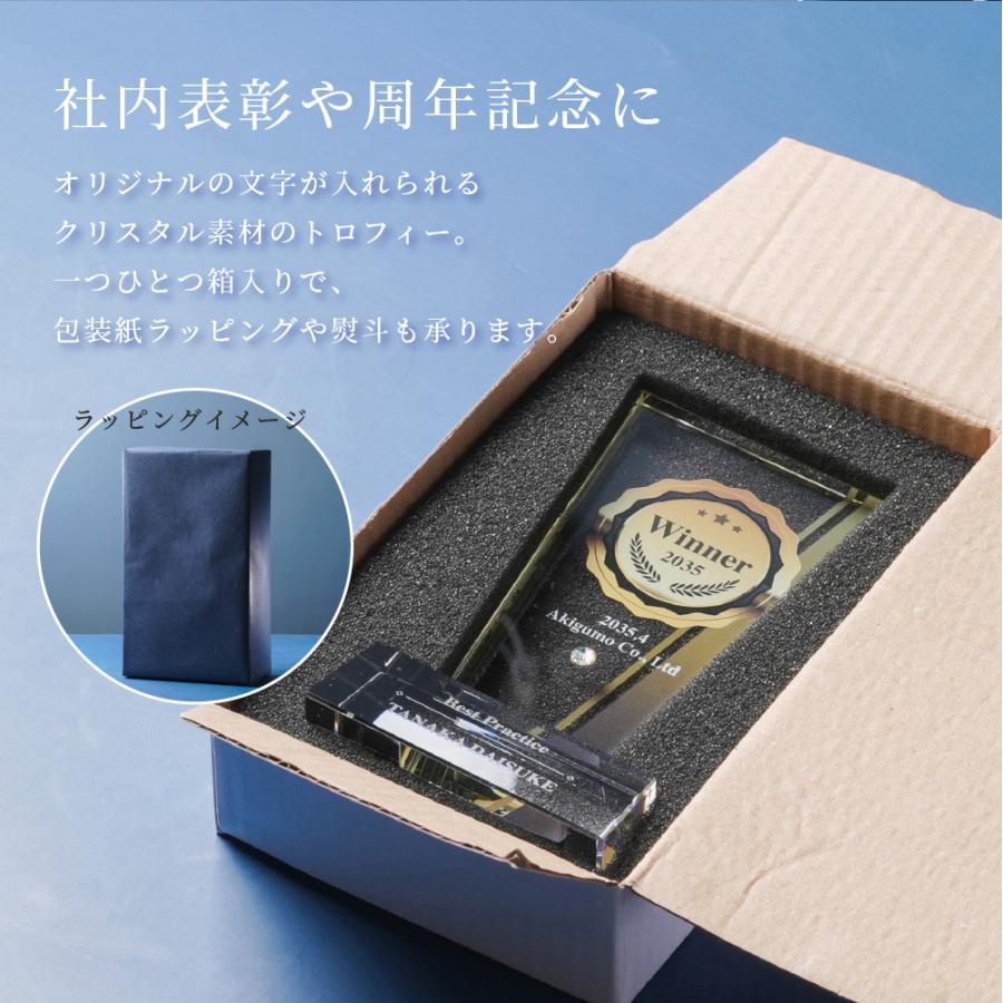トロフィー中 Mサイズ 盾形 社内表彰・周年記念用 PS-5B クリスタル
