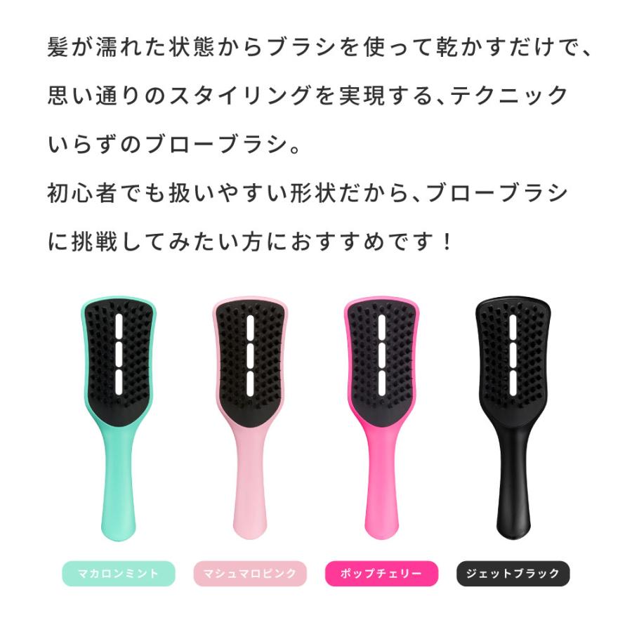 TANGLE TEEZER（タングルティーザー） イージードライ ブローブラシ 柄
