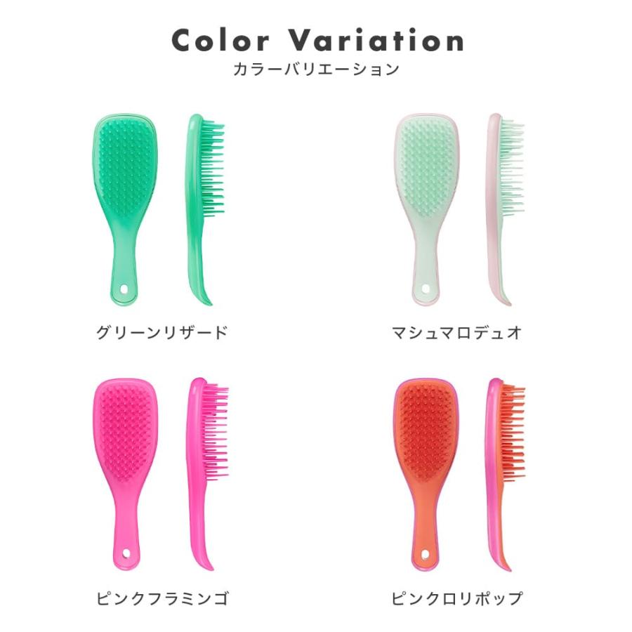 TANGLE TEEZER（タングルティーザー） ザ・ウェットディタングラー
