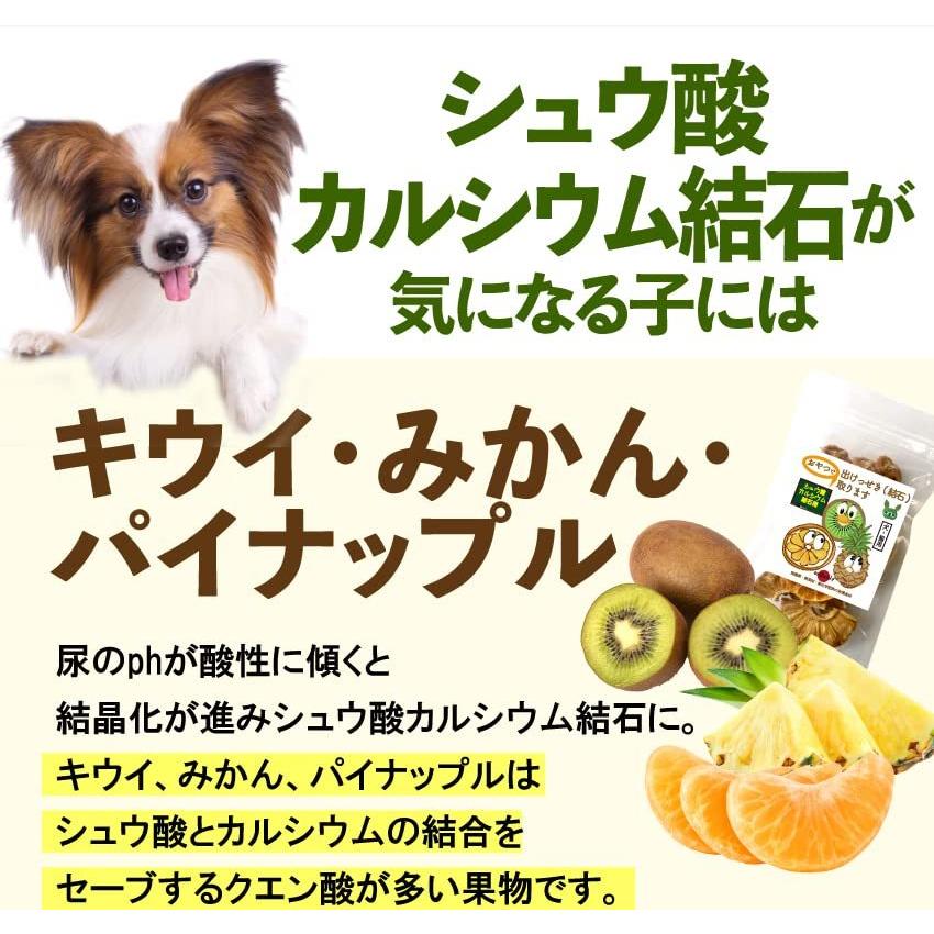 おやつで 出けっせき 結石 取ります 犬 猫 ペット 尿路結石に シュウ酸カルシウム結石 無添加 サプリ おやつ Ray jcr9 ショップray 通販 Yahoo ショッピング
