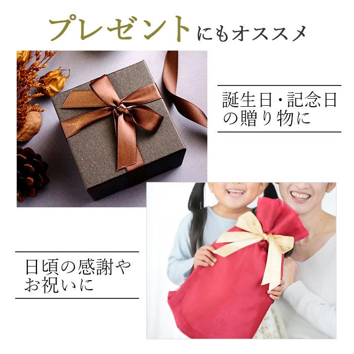 平野鞄 ダレスボストンバッグ メンズ 鞄の國 かばんのくに 日本製 KBN10456の画像
