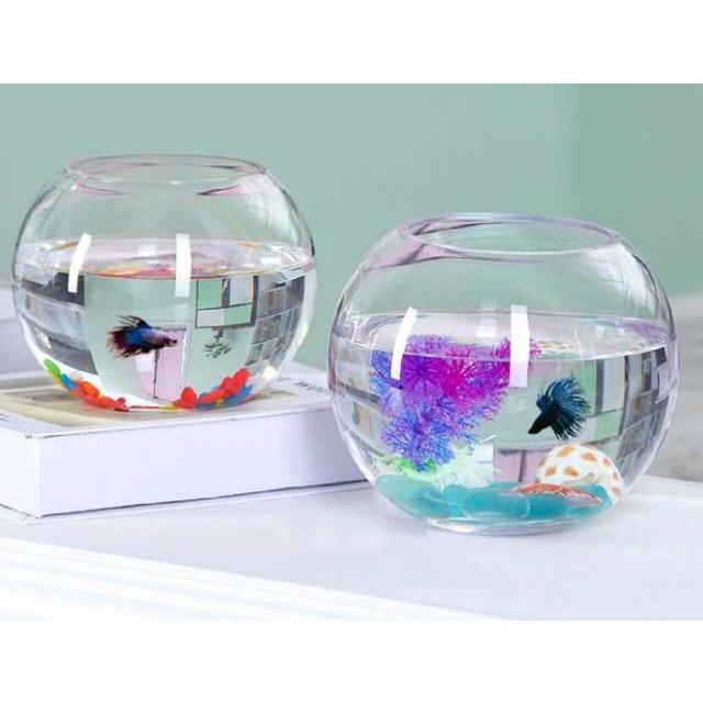 訳ありB級品 16cm 金魚鉢 テラリウム 花瓶 ガラス おしゃれ 丸い