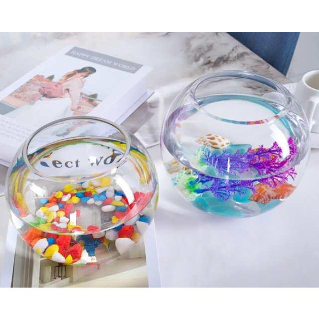 訳ありB級品 16cm 金魚鉢 テラリウム 花瓶 ガラス おしゃれ 丸い