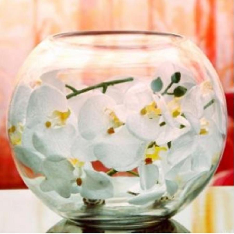 訳ありB級品　25cm 金魚鉢 ガラス ボール 特大 丸い 花瓶 ガラス花器 テラリウム アクアリウム 金魚 メダカ 透明 丸 鉢 ガラスボール 砂あび（Yahoo!・SHOP SACHI）