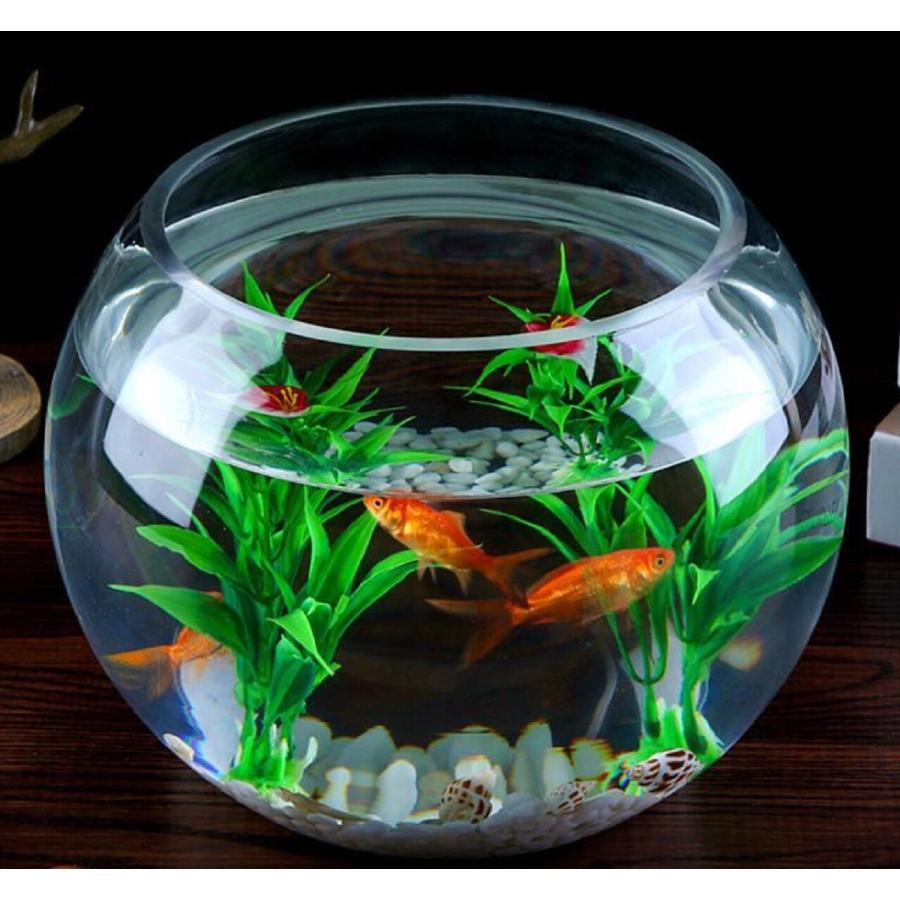 訳ありB級品 25cm 金魚鉢 ガラス ボール 特大 丸い 花瓶 ガラス花器