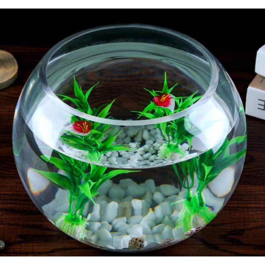 訳ありB級品 25cm 金魚鉢 ガラス ボール 特大 丸い 花瓶 ガラス花器