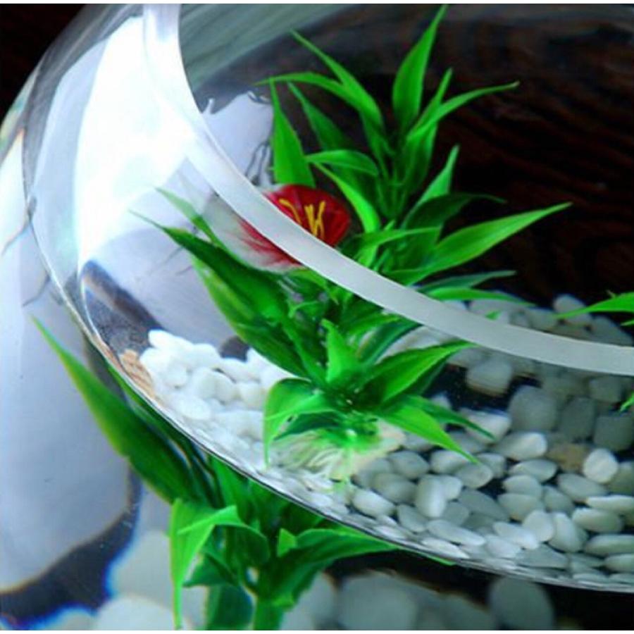 25センチ 金魚鉢 ガラス ボール 特大 丸い 花瓶 ガラス花器 テラリウム アクアリウム 金魚 メダカ 透明 丸 鉢 ガラスボール 砂あび Kabin Shop Sachi 通販 Yahoo ショッピング