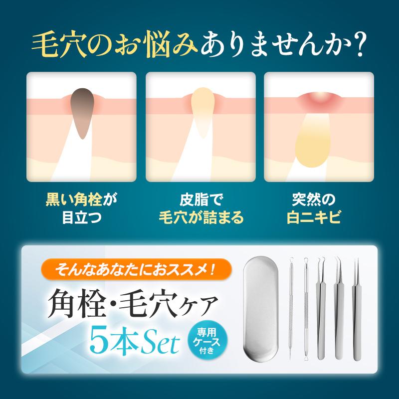 ニキビ 角栓 毛穴ケア ピンセット 5本セット ステンレス 精密