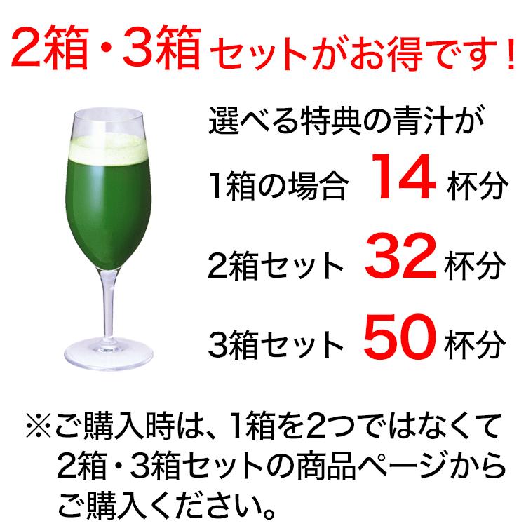 バーリィグリーン 60本入 大麦若葉の生青汁 大分産｜shopsorairo｜04