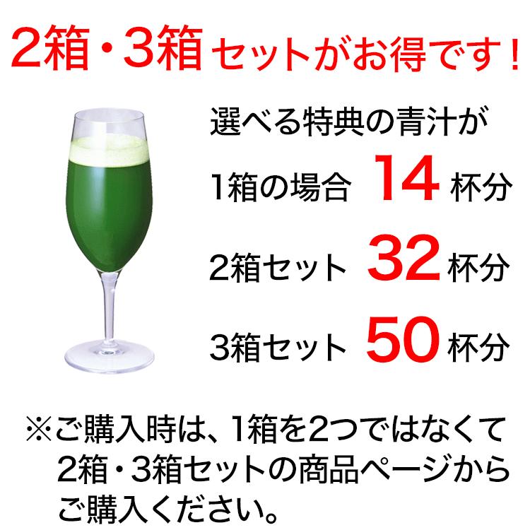 あ*ち様 バーリィグリーン3g☓60スティック☓2個プラススティックサンプル