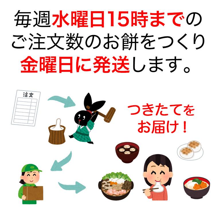 餅 杵つき餅 30個 約1.2kg 福岡県築上町産【クール便のため同梱不可