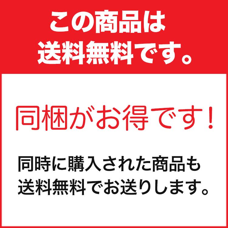邵氏温灸器3個セット 温灸材96個付 特別仕様の2穴ベルト等の温灸セット
