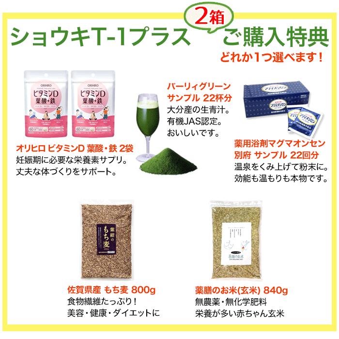 タンポポ茶 ショウキT−1プラス 60袋 (30袋×2箱) ショウキT1 タンポポ茶 ショウキT−1プラス 60袋 (30袋×2箱) ショウキT1