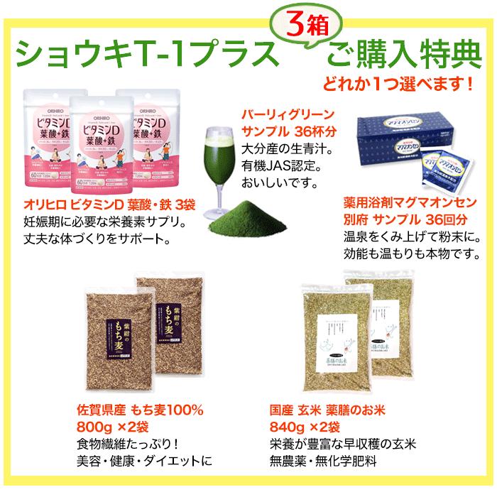 2027.6期限　ショウキT1　3箱(９０包) タンポポ茶 ショウキT−1プラス 90袋 (30袋×3箱) ショウキT1